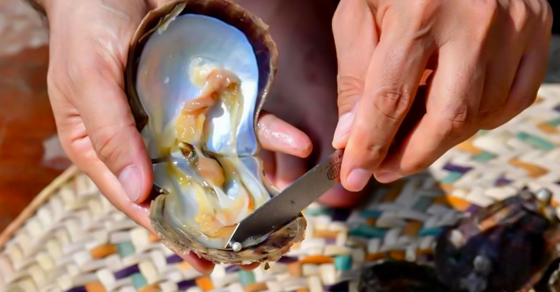 How Do Oysters Make Pearls